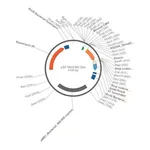 Merck PSF-MINCMV-ZEO - MINIMAL CMV ZEOCIN RESISTANT PLASMID