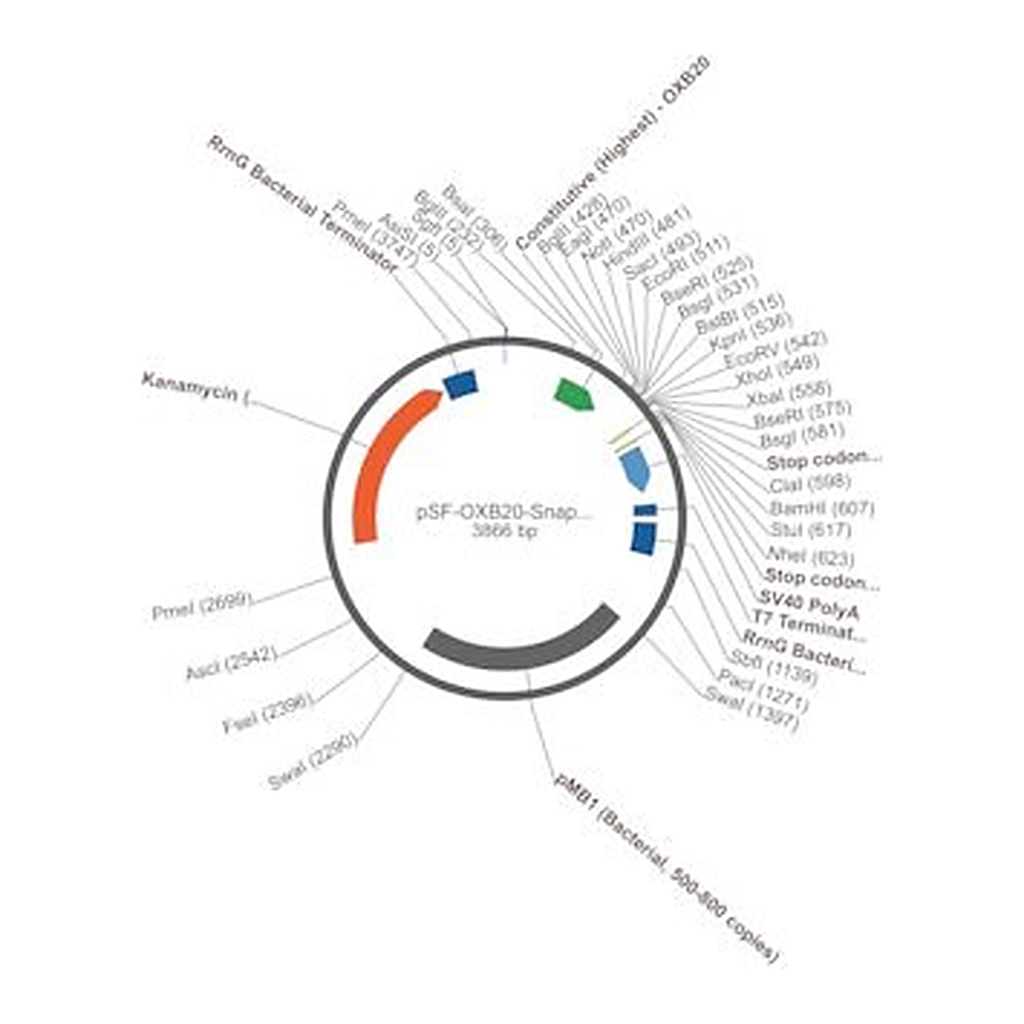 Merck PSF-OXB20-SNAPFUSION - BACTERIAL SNAPFUSION CONSTIUTIVE PLASMID