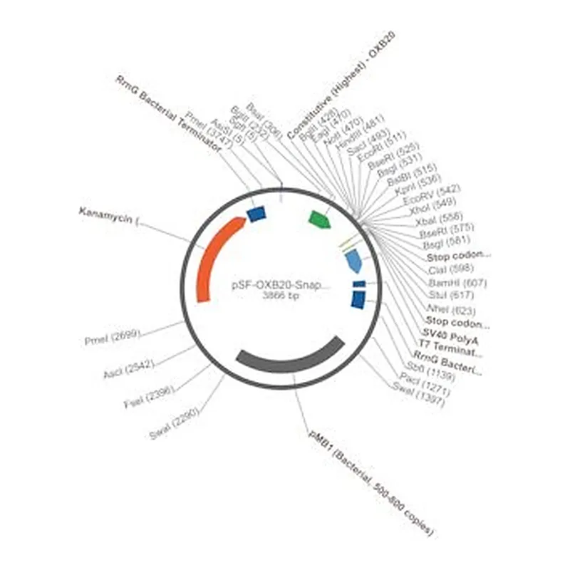 Merck PSF-OXB20-SNAPFUSION - BACTERIAL SNAPFUSION CONSTIUTIVE PLASMID