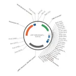 Merck PSF-CMV-SNAPFUSION - CMV MAMMALIAN SNAPFUSION EXPRESSION PLASMID