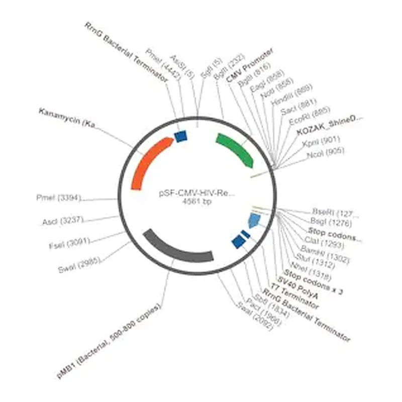 Merck PSF-CMV-HIV-REV - HIV REV EXPRESSION VECTOR