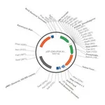 Merck PSF-CMV-PGK-KRYFP - YFP MAMMALIAN PGK PROMOTER PLASMID