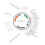 Merck PSF-CMV-COOH-P2A-2 - FMDV P2A PLASMID