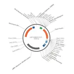 Merck PSF-OXB20-FRCFP - CONSTITUTIVE BACTERIAL PROMOTER CFP PLASMID