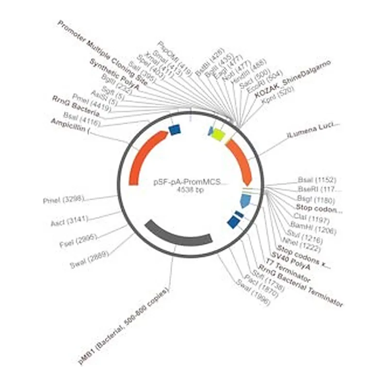 Merck PSF-PA-PROMMCS-ILUMENA - PROMOTERLESS SECRETED LUCIFERASE PLASMID