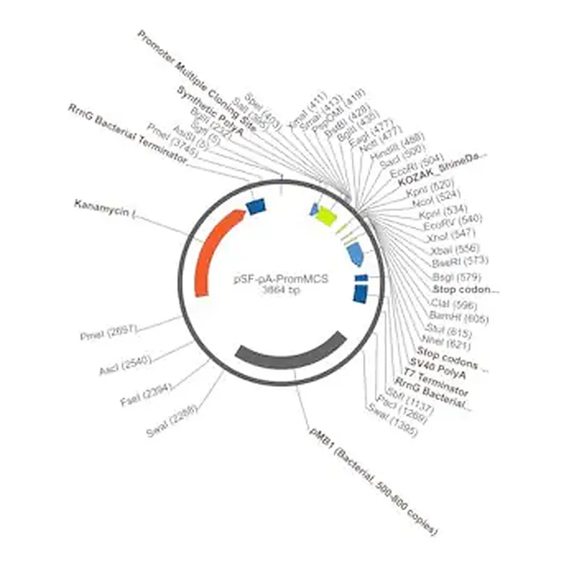 Merck PSF-PA-PROMMCS - NO PROMOTER (MCS/POLYLINKER) PLASMID