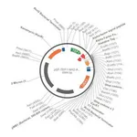Merck PSF-TEF1-NH2-A-FACTORFL-6HIS - ALPHA FACTOR SECRETION AND 6 HIS TAG PLASMID