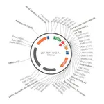 Merck PSF-TEF1-NH2-A-FACTORFL-HA - ALPHA FACTOR SECRETION AND HA TAG PLASMID