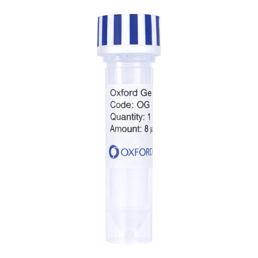 Merck PSF-TEF1-COOH-THR-10HIS - C-TERMINAL 10HIS TAG YEAST PLASMID
