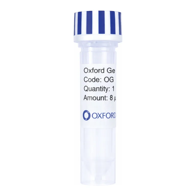 Merck PSF-TEF1-COOH-THR-10HIS - C-TERMINAL 10HIS TAG YEAST PLASMID