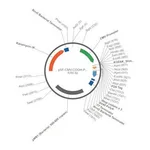 Merck PSF-CMV-COOH-P2A-3 - FMDV P2A PLASMID