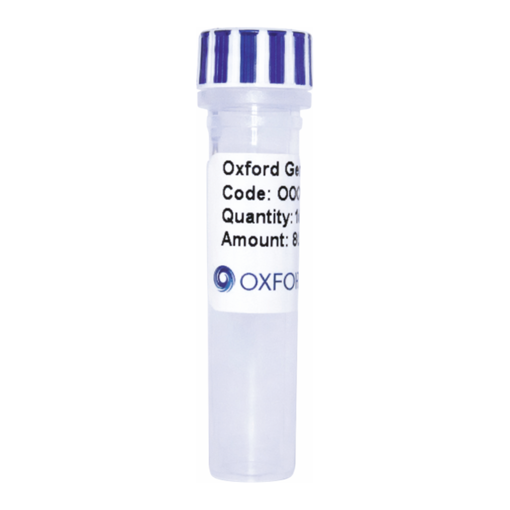 Merck PSF-TEF1-COOH-THR-HA - C-TERMINAL HA TAG YEAST PLASMID