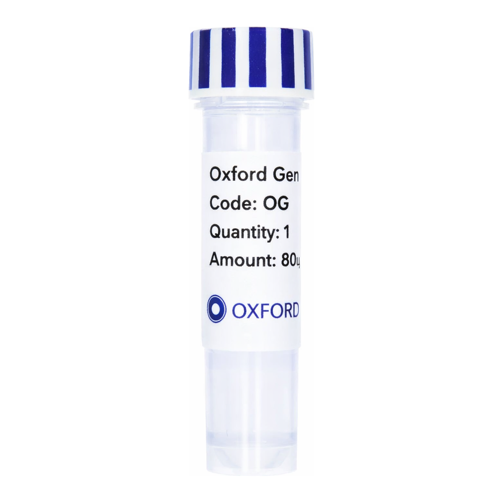 Merck PSF-TEF1-COOH-THR-MBP - C-TERMINAL MBP TAG YEAST PLASMID
