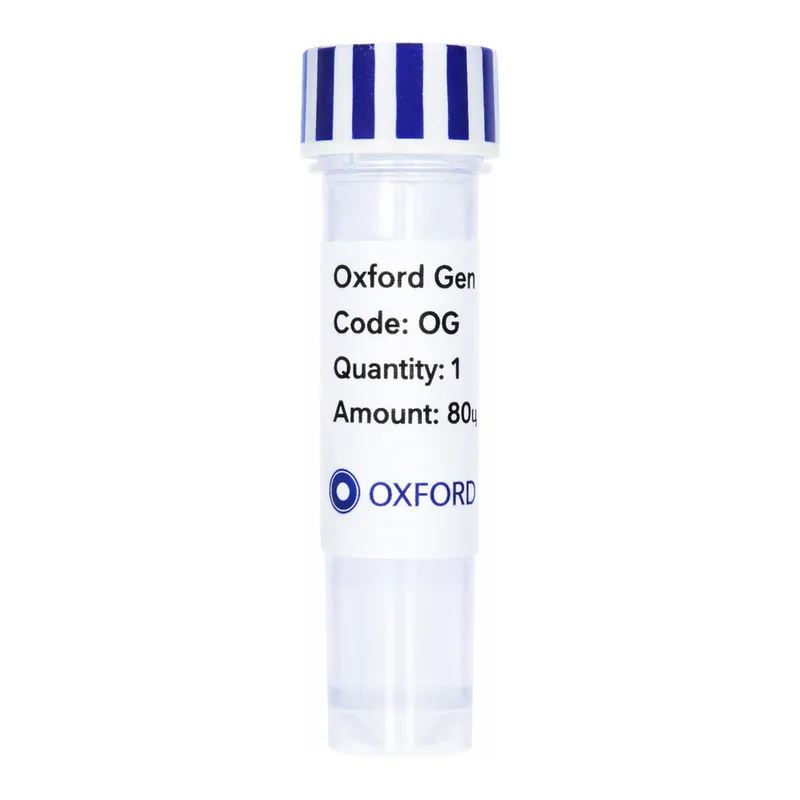 Merck PSF-TEF1-COOH-THR-MBP - C-TERMINAL MBP TAG YEAST PLASMID