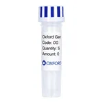 Merck PSF-TEF1-COOH-TEV-FLAG - C-TERMINAL FLAG TAG YEAST PLASMID