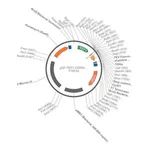 Merck PSF-TEF1-COOH-TEV-10HIS - C-TERMINAL 10HIS TAG YEAST PLASMID