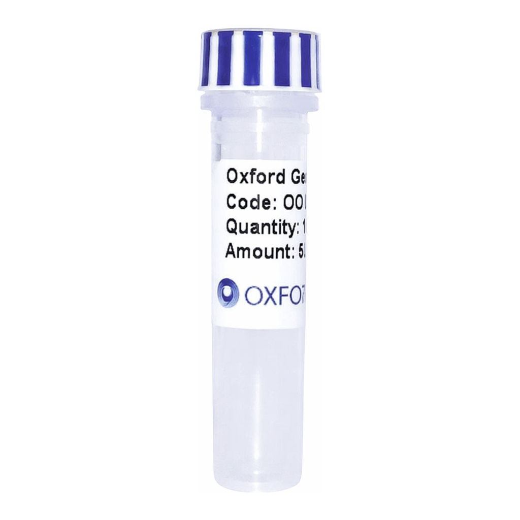 Merck PSF-TEF1-COOH-3C-HA - C-TERMINAL HA TAG YEAST PLASMID