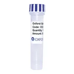 Merck PSF-TEF1-COOH-TEV-T7 - C-TERMINAL T7 TAG YEAST PLASMID