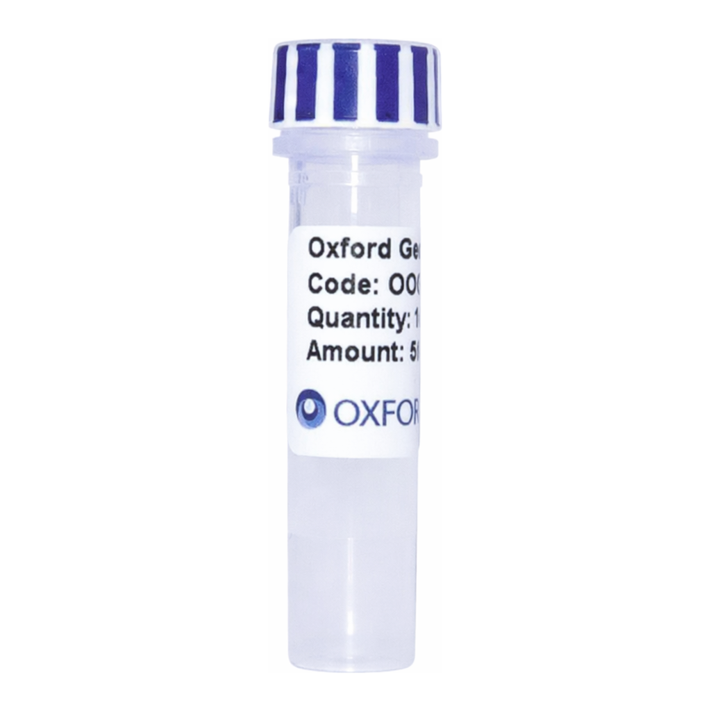 Merck PSF-TEF1-COOH-3C-CMYC - C-TERMINAL CMYC TAG YEAST PLASMID