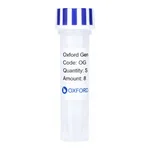 Merck PSF-TEF1-COOH-EKT-T7 - C-TERMINAL T7 TAG YEAST PLASMID