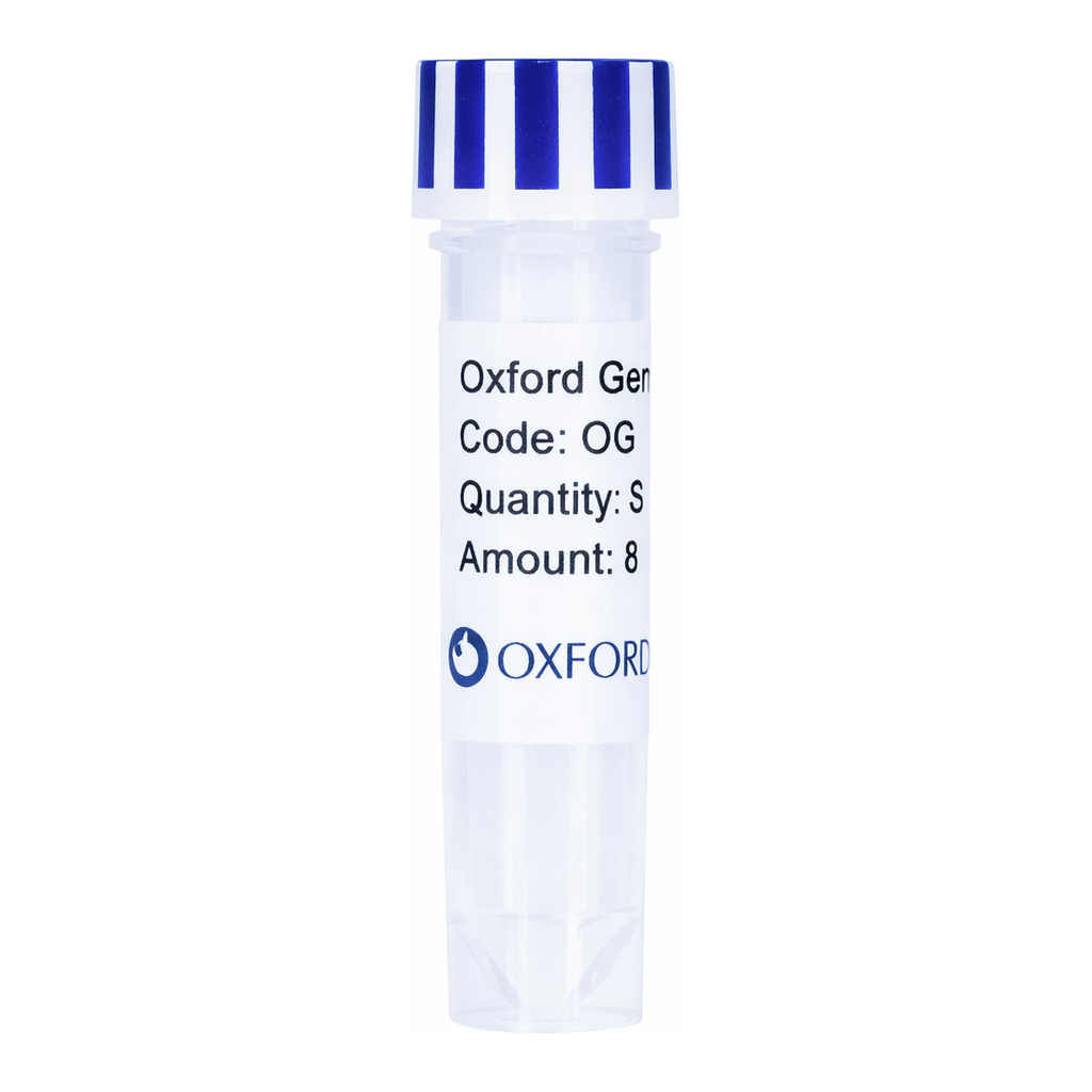 Merck PSF-TEF1-COOH-3C-MBP - C-TERMINAL MBP TAG YEAST PLASMID