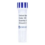 Merck PSF-TEF1-COOH-3C-MBP - C-TERMINAL MBP TAG YEAST PLASMID
