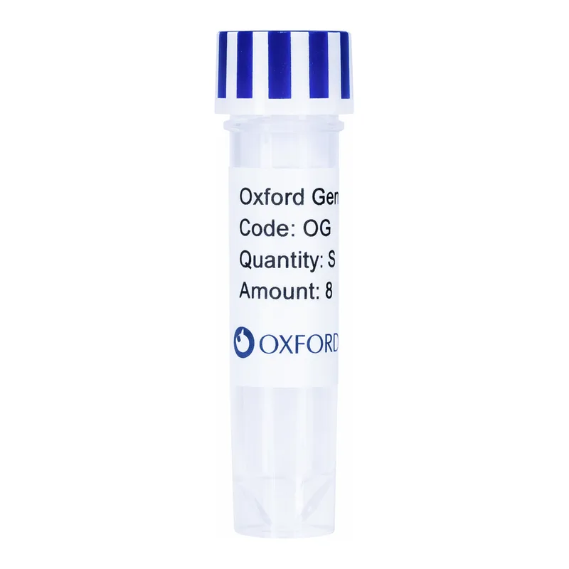 Merck PSF-TEF1-COOH-3C-MBP - C-TERMINAL MBP TAG YEAST PLASMID