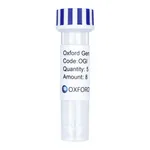 Merck PSF-TEF1-COOH-EKT-6HIS-T7 - C-TERMINAL T7 AND 6 HIS DUAL TAG YEAST PLASMID