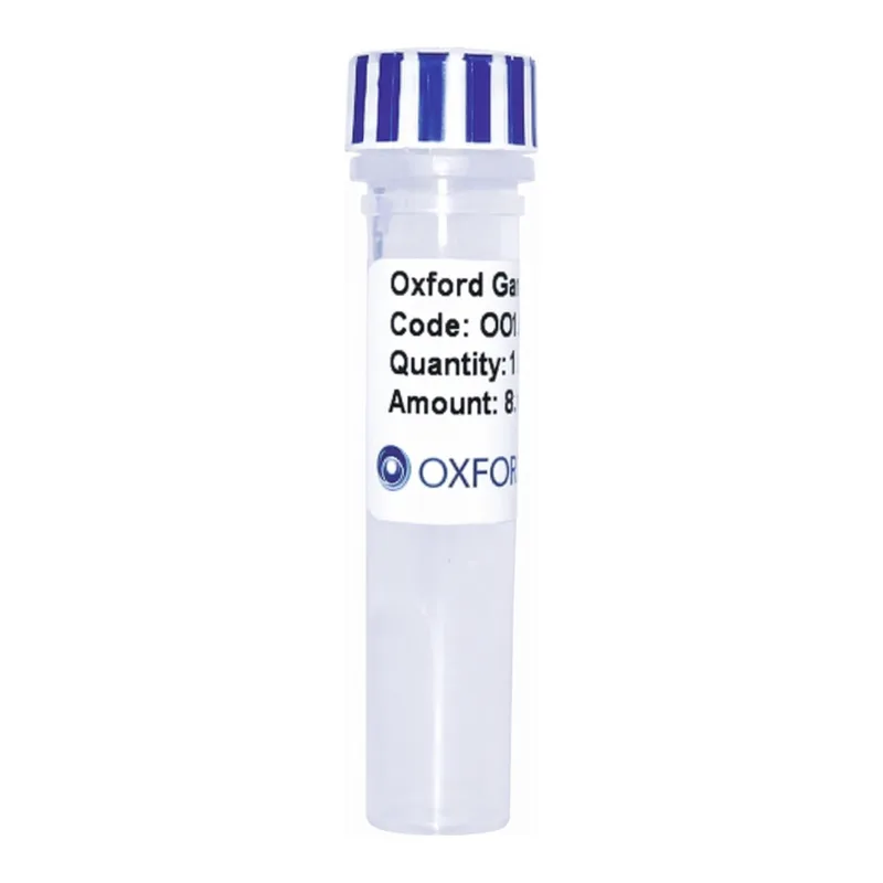 Merck PSF-TEF1-COOH-EKT-6HIS-MBP - C-TERMINAL MBP AND 6 HIS DUAL TAG YEAST PLASMID