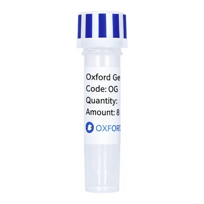 Merck PSF-TEF1-COOH-THR-HA-6HIS - C-TERMINAL 6 HIS AND HA DUAL TAG YEAST PLASMID