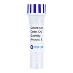 Merck PSF-TEF1-COOH-THR-FLAG-6HIS - C-TERMINAL 6 HIS AND FLAG DUAL TAG YEAST PLASMID