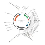 Merck PSF-CMV-INTRON1 - INTRON EXPRESSION PLASMID