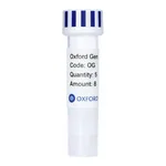 Merck PSF-TEF1-COOH-3C-MBP-6HIS - C-TERMINAL 6 HIS AND MBP DUAL TAG YEAST PLASMID