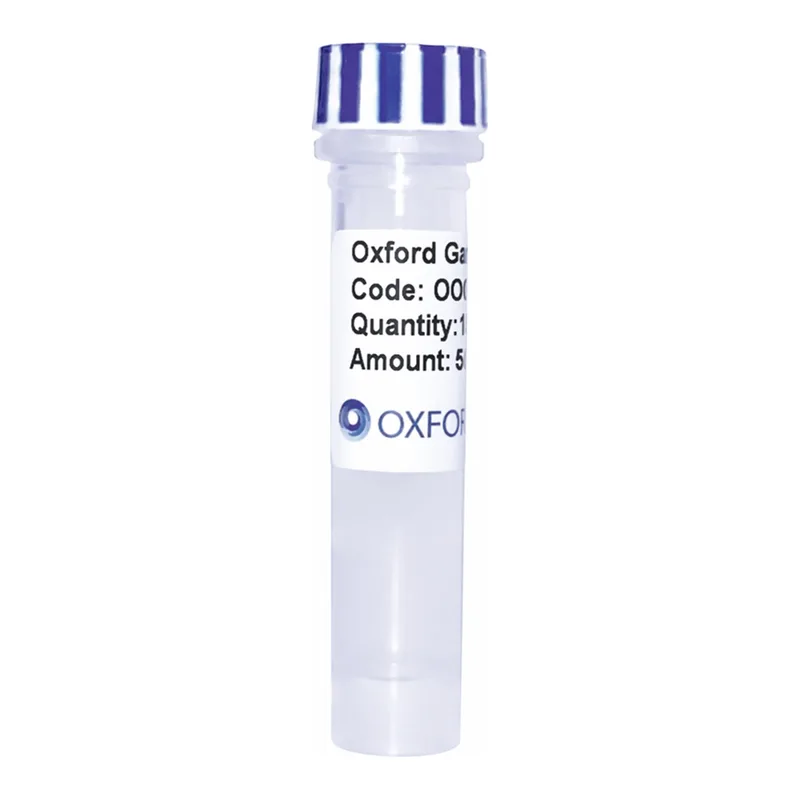 Merck PSF-TEF1-COOH-EKT-MBP-6HIS - C-TERMINAL 6 HIS AND MBP DUAL TAG YEAST PLASMID
