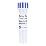 Merck PSF-TEF1-COOH-EKT-T7-6HIS - C-TERMINAL 6 HIS AND T7 DUAL TAG YEAST PLASMID
