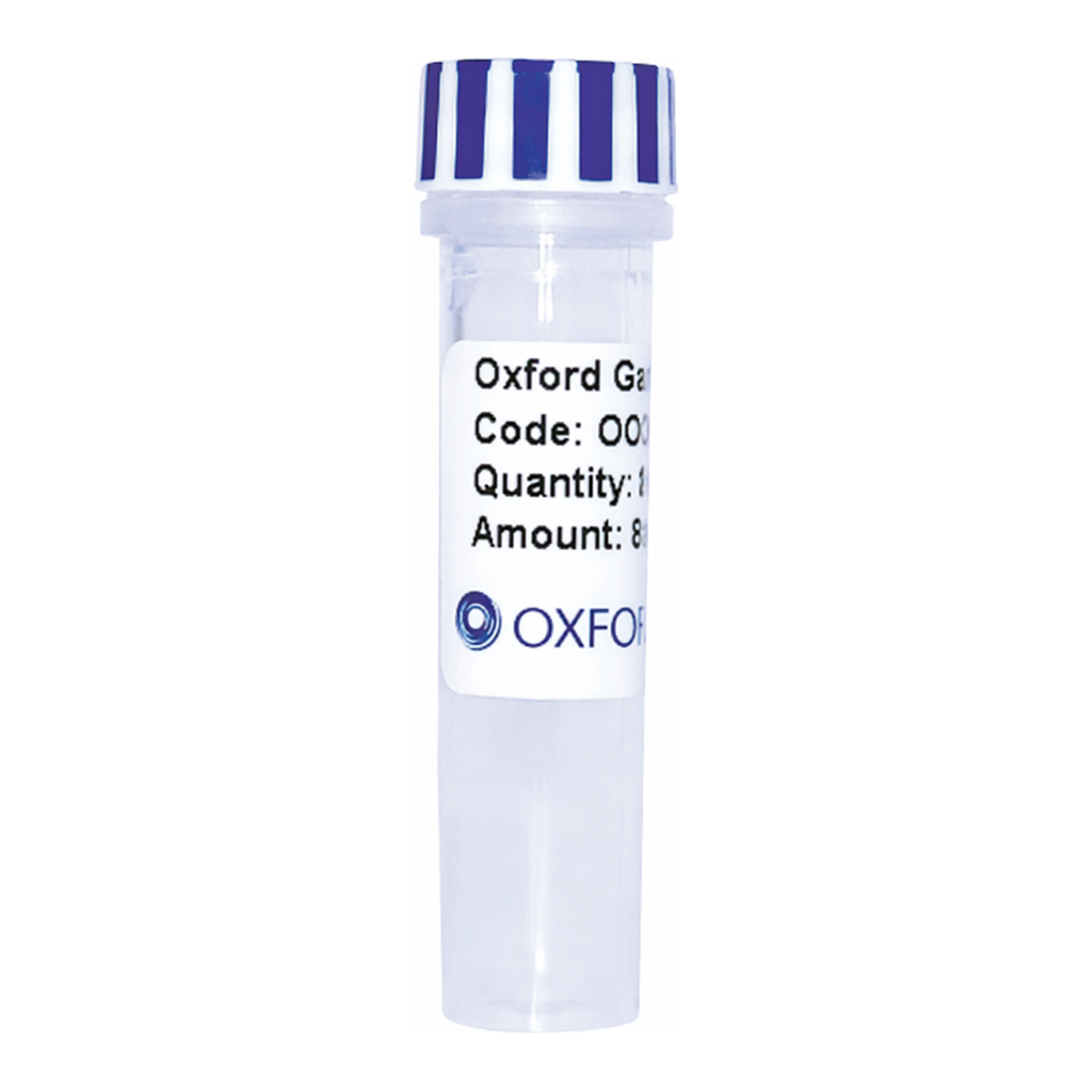 Merck PSF-TEF1-COOH-EKT-RLUC-6HIS - C-TERMINAL 6 HIS AND RLUC DUAL TAG YEAST PLASMID