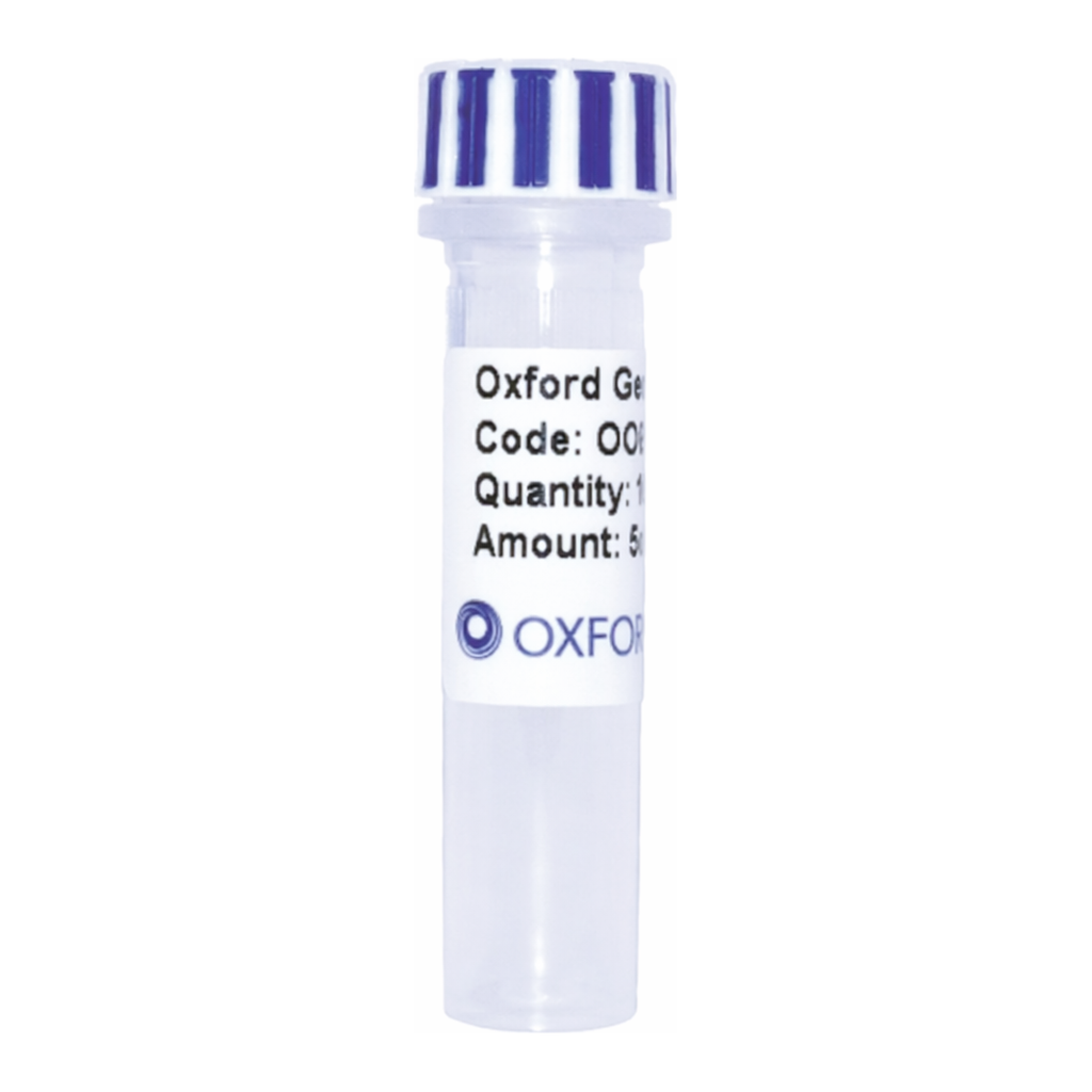 Merck PSF-TEF1-COOH-EKT-KRYFP-6HIS - C-TERMINAL 6 HIS AND YFP DUAL TAG YEAST PLASMID