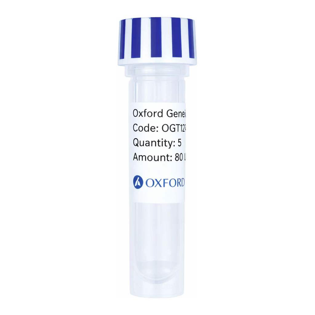 Merck PSF-TEF1-COOH-FRCFP - C-TERMINAL CFP TAG YEAST PLASMID