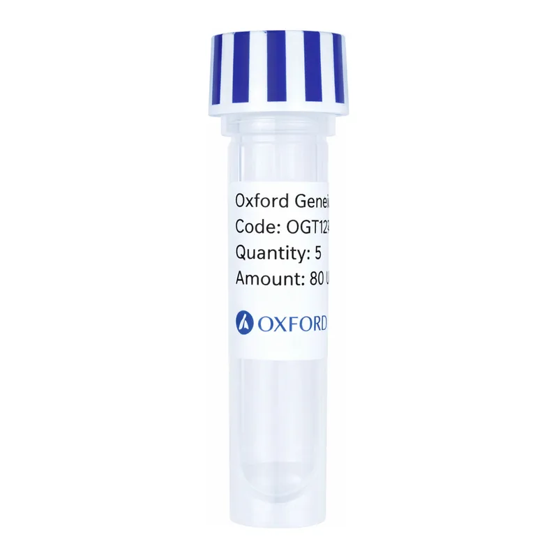 Merck PSF-TEF1-COOH-FRCFP - C-TERMINAL CFP TAG YEAST PLASMID