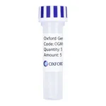 Merck PSF-OXB20-COOH-THR-FLAG - C-TERMINAL FLAG TAG BACTERIAL PLASMID