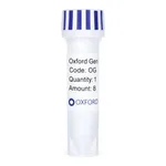 Merck PSF-OXB20-DAGFP - BACTERIAL DAGFP PLASMID