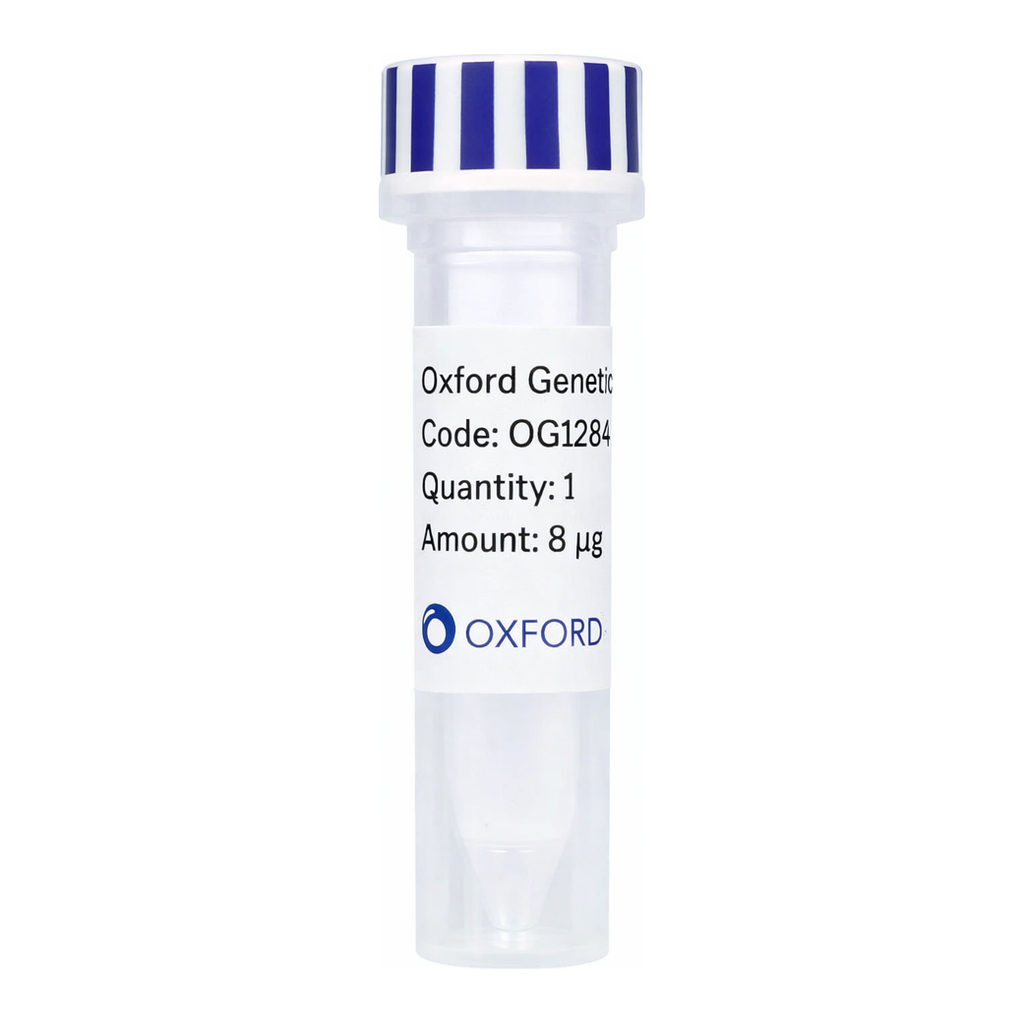 Merck PSF-OXB20-COOH-TEV-HA - C-TERMINAL HA TAG BACTERIAL PLASMID