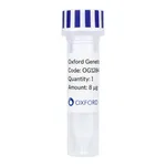 Merck PSF-OXB20-COOH-TEV-HA - C-TERMINAL HA TAG BACTERIAL PLASMID
