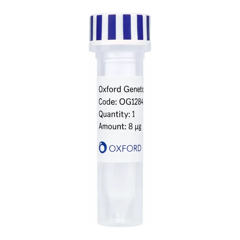 Merck PSF-OXB20-COOH-TEV-HA - C-TERMINAL HA TAG BACTERIAL PLASMID