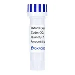 Merck PSF-OXB20-COOH-TEV-CMYC-6HIS - C-TERMINAL 6 HIS AND CMYC DUAL TAG BACTERIAL PLASMID