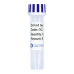 Merck PSF-OXB20-COOH-3C-FLAG-6HIS - C-TERMINAL 6 HIS AND FLAG DUAL TAG BACTERIAL PLASMID