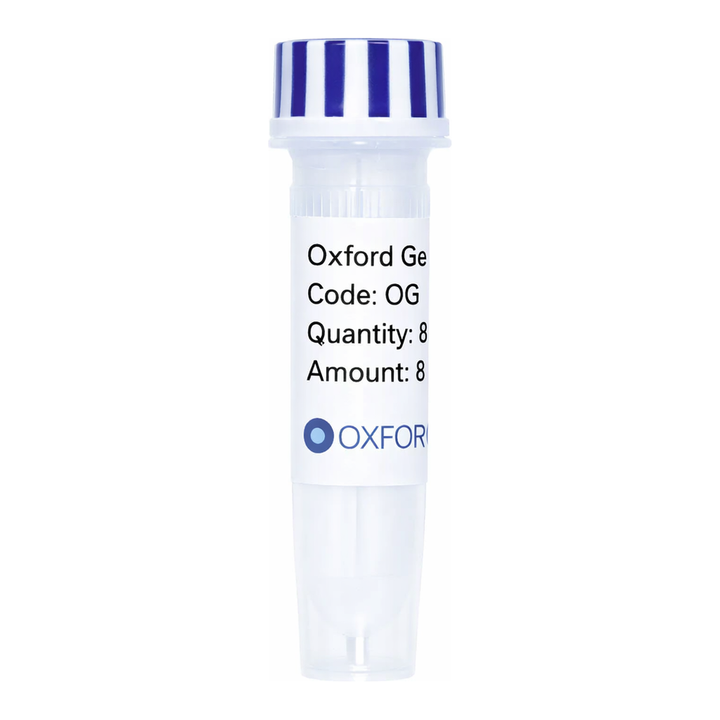 Merck PSF-OXB20-COOH-EKT-FLAG-6HIS - C-TERMINAL 6 HIS AND FLAG DUAL TAG BACTERIAL PLASMID