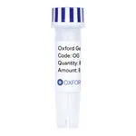 Merck PSF-OXB20-COOH-EKT-FLAG-6HIS - C-TERMINAL 6 HIS AND FLAG DUAL TAG BACTERIAL PLASMID