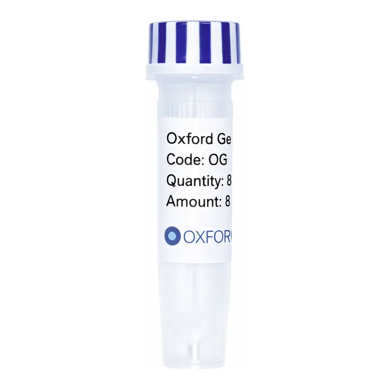 Merck PSF-OXB20-COOH-EKT-FLAG-6HIS - C-TERMINAL 6 HIS AND FLAG DUAL TAG BACTERIAL PLASMID