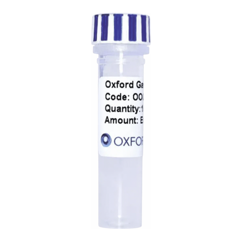 Merck PSF-OXB20-COOH-TEV-MBP-6HIS - C-TERMINAL 6 HIS AND MBP DUAL TAG BACTERIAL PLASMID